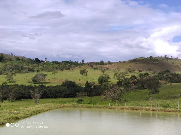 Imagem Fazenda à Venda, 400.000m² em Girassol - Cocalzinho de Goiás Imagem Fazenda à Venda, 400.000m² em Girassol - Cocalzinho de Goiás