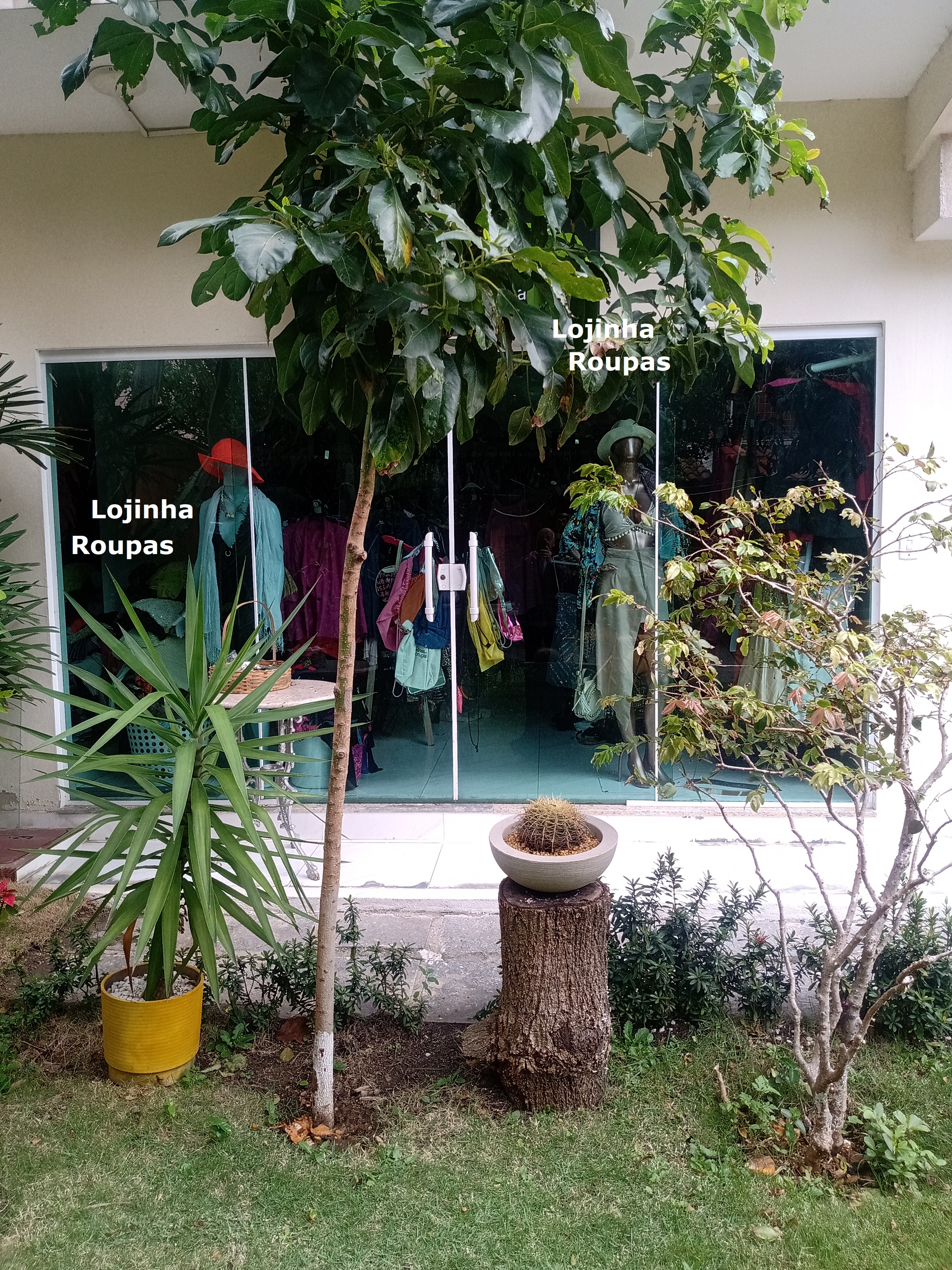 Imagem Imóvel Comercial à Venda, 1.000 m² em Jacaré - Cabo Frio