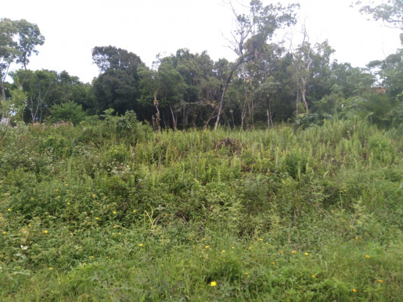 Terreno à Venda, 280 m² em Jd. Marambá - Itanhaém