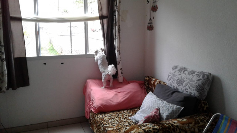 Imagem Apartamento com 2 Quartos à Venda, 100 m² em Campo Grande - Rio de Janeiro Imagem Apartamento com 2 Quartos à Venda, 100 m² em Campo Grande - Rio de Janeiro