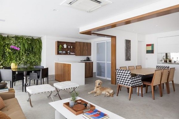 imagem de decoração