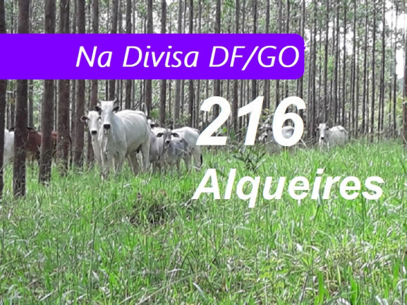 Imagem Fazenda à Venda, 90.000m² em Zona Rural - Padre Bernardo Imagem Fazenda à Venda, 90.000m² em Zona Rural - Padre Bernardo