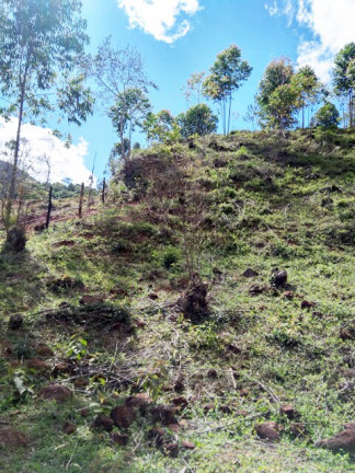 Imagem Terreno à Venda, 1.000 m² em Jardim Zaira - Mauá Imagem Terreno à Venda, 1.000 m² em Jardim Zaira - Mauá