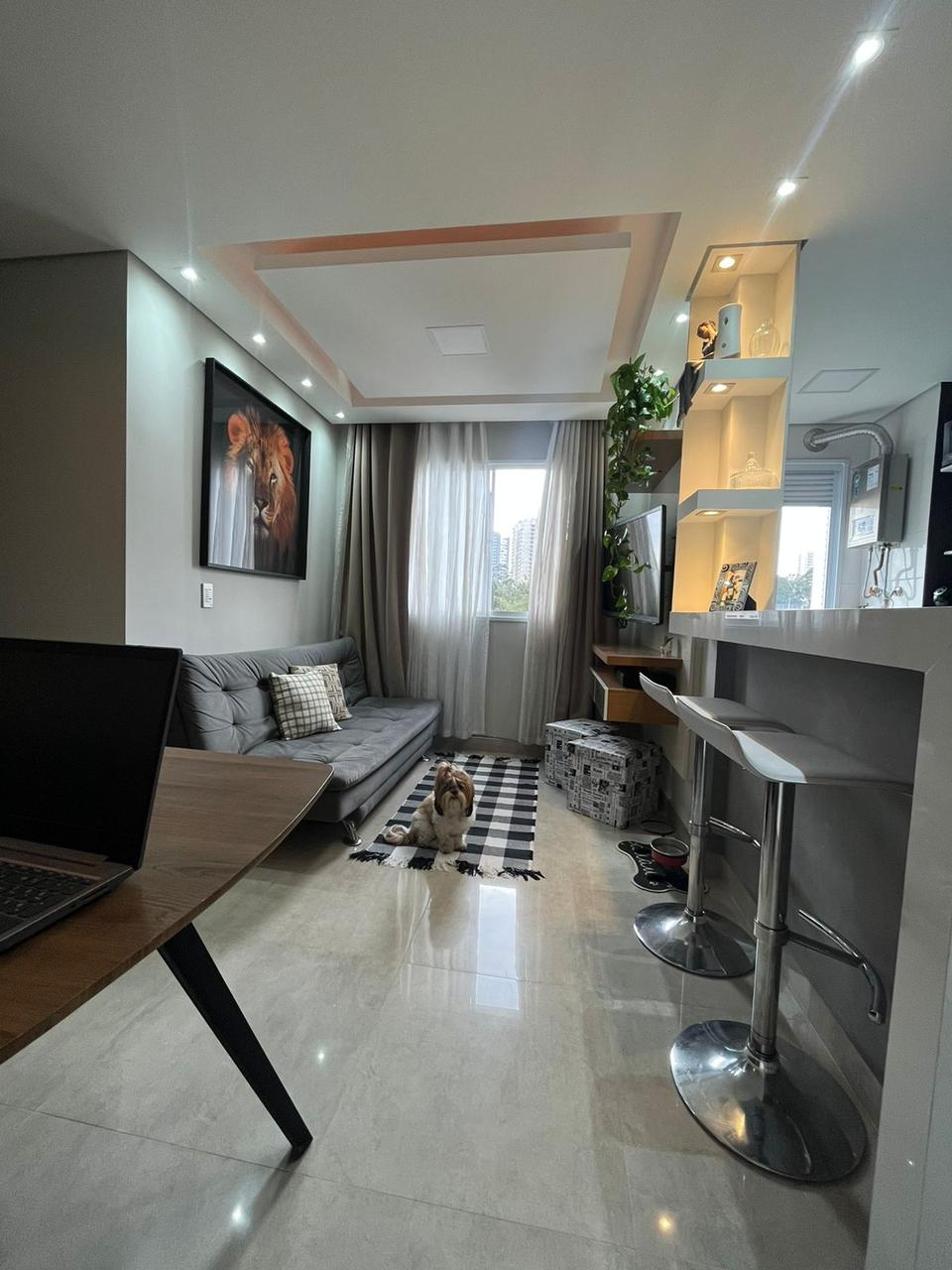 Imagem Apartamento com 2 Quartos à Venda, 40 m²em Parque Reboucas - São Paulo