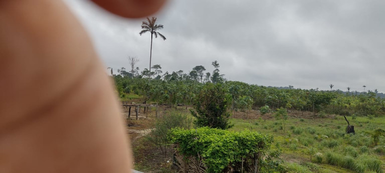 Imagem Terreno à Venda, 2.000 m² em Zona Rural - Humaitá Imagem Terreno à Venda, 2.000 m² em Zona Rural - Humaitá