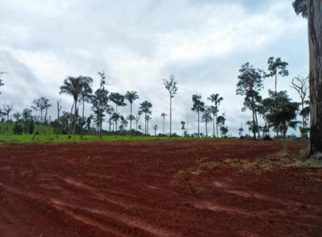 Imagem Fazenda à Venda, 9.399 m² em Centro - São Félix do Xingu Imagem Fazenda à Venda, 9.399 m² em Centro - São Félix do Xingu