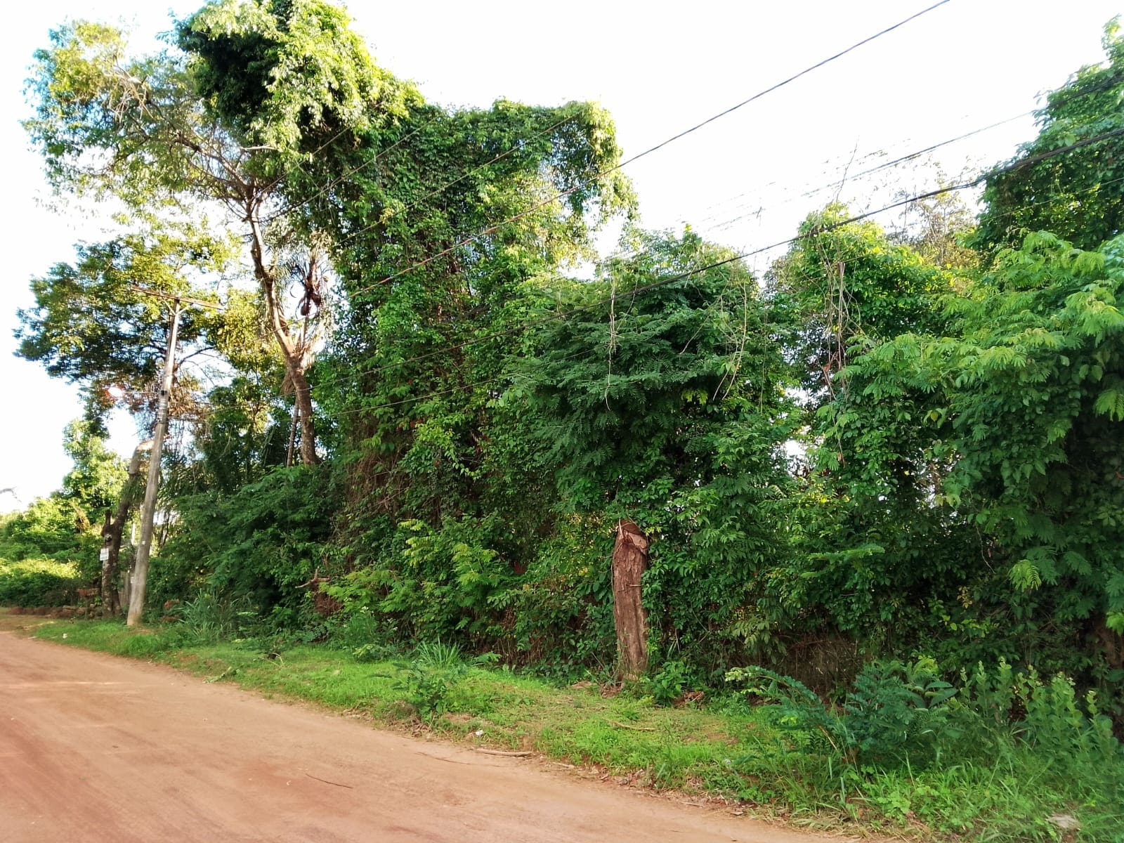 Imagem Terreno à Venda, 2 m²em Jardim Buriti Sereno - Aparecida de Goiânia