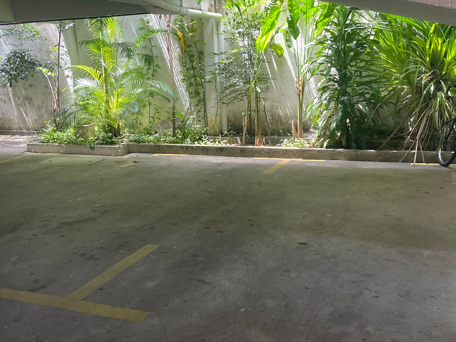 Imagem Apartamento com 3 Quartos à Venda, 86 m² em Espinheiro - Recife