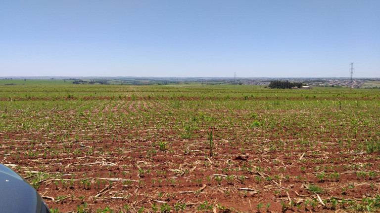 Imagem Fazenda à Venda,  em Gleba Ribeirão Maringá - Maringá