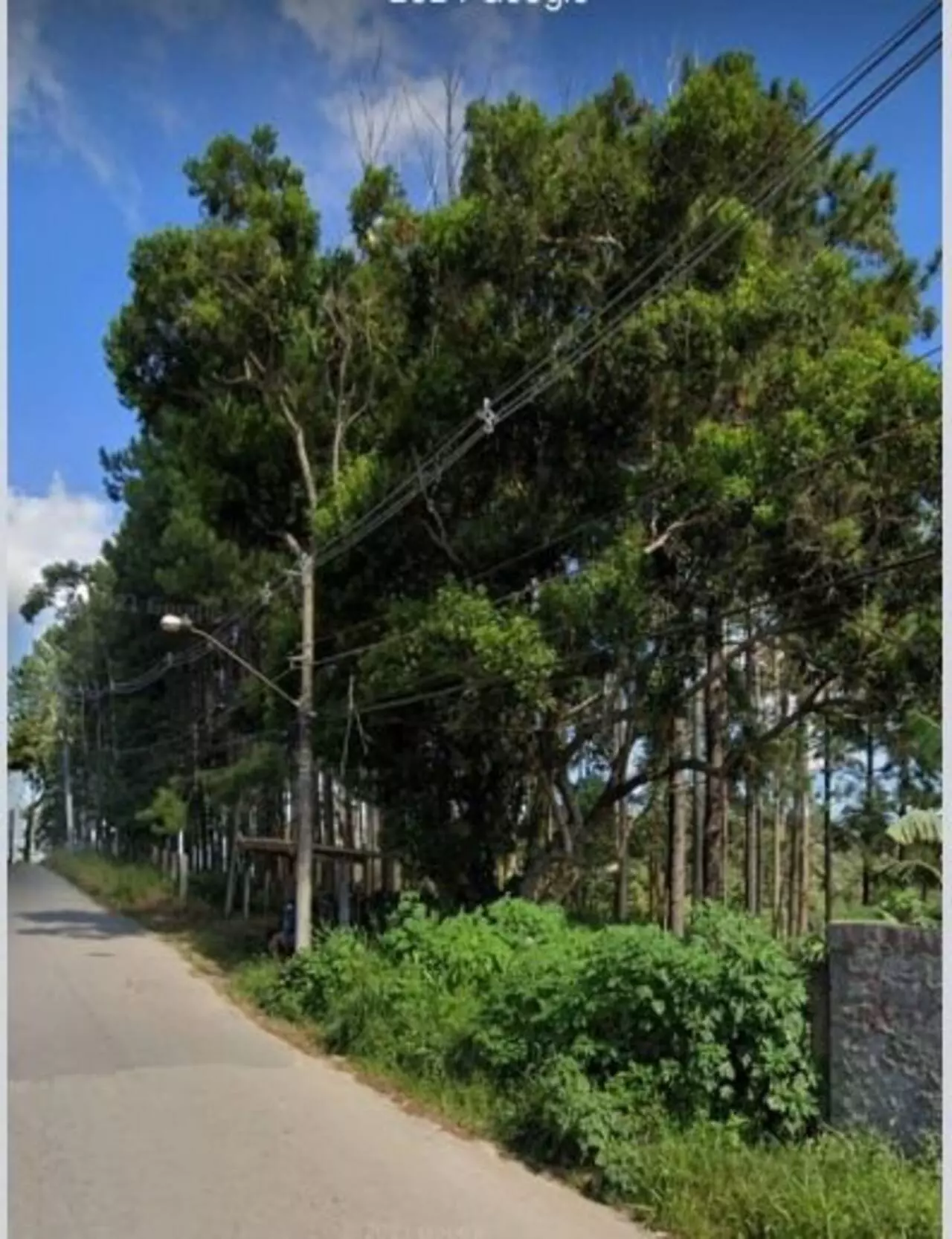 Imagem Terreno à Venda, 54 m²em Jardim Campestre - Embu-Guaçu Imagem Terreno à Venda, 54 m²em Jardim Campestre - Embu-Guaçu