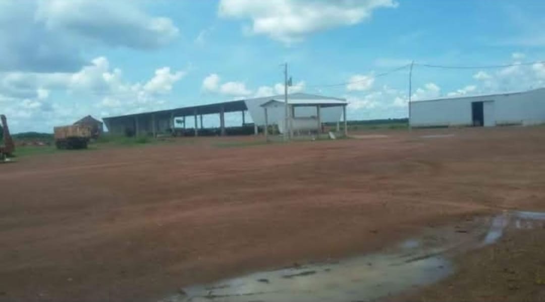 Imagem Imóvel à Venda, em Zona Rural - Confresa Imagem Imóvel à Venda, em Zona Rural - Confresa