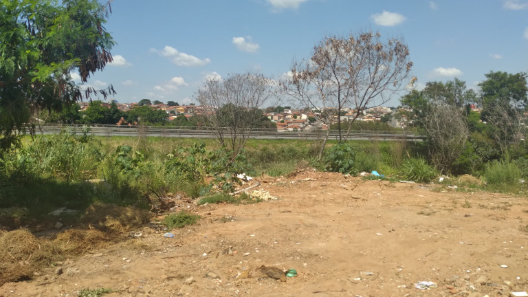 Imagem Terreno à Venda, em Vila Aeroporto I - Campinas Imagem Terreno à Venda, em Vila Aeroporto I - Campinas