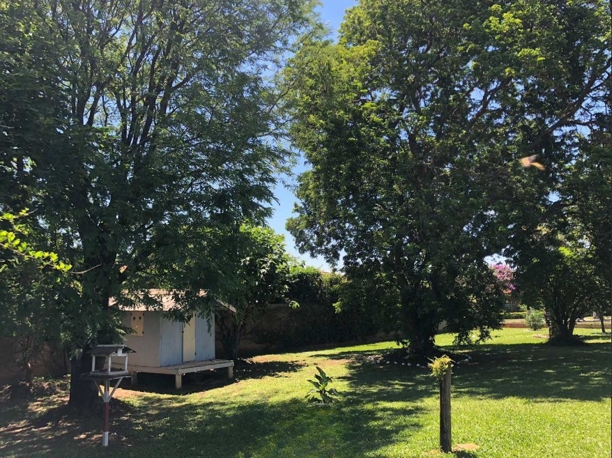 Imagem Casa com 6 Quartos à Venda, 395 m²em Jardim Paulista - Dourado