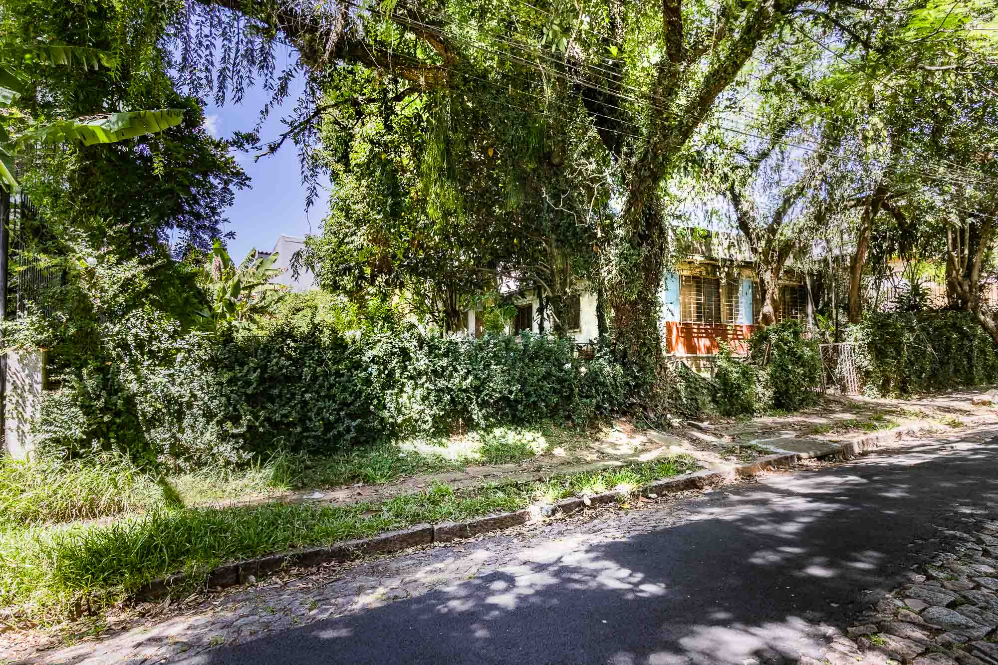 Imagem Terreno à Venda, 705 m² em Vila Ipiranga - Porto Alegre