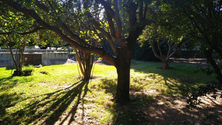 Imagem Chácara com 4 Quartos à Venda, 300 m² em Jardim do Trevo - Araçatuba Imagem Chácara com 4 Quartos à Venda, 300 m² em Jardim do Trevo - Araçatuba