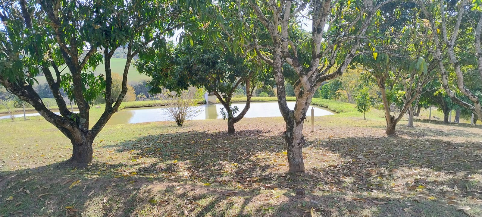 Imagem Chácara com 6 Quartos à Venda, 512 m² em rural - Araçoiaba da Serra Imagem Chácara com 6 Quartos à Venda, 512 m² em rural - Araçoiaba da Serra