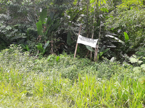 Imagem Terreno à Venda, 230.000 m² em Zona Rural - Santa Bárbara do Pará