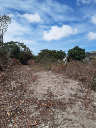 Imagem Terreno à Venda, 2 m²em Parque das Árvores - Parnamirim