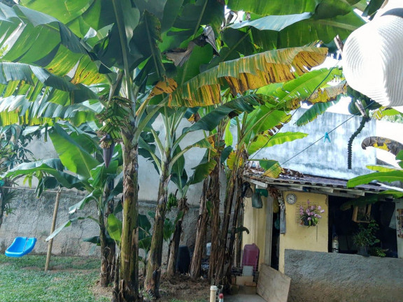 Imagem Casa com 7 Quartos à Venda, 200 m² em Nogueira - Petrópolis