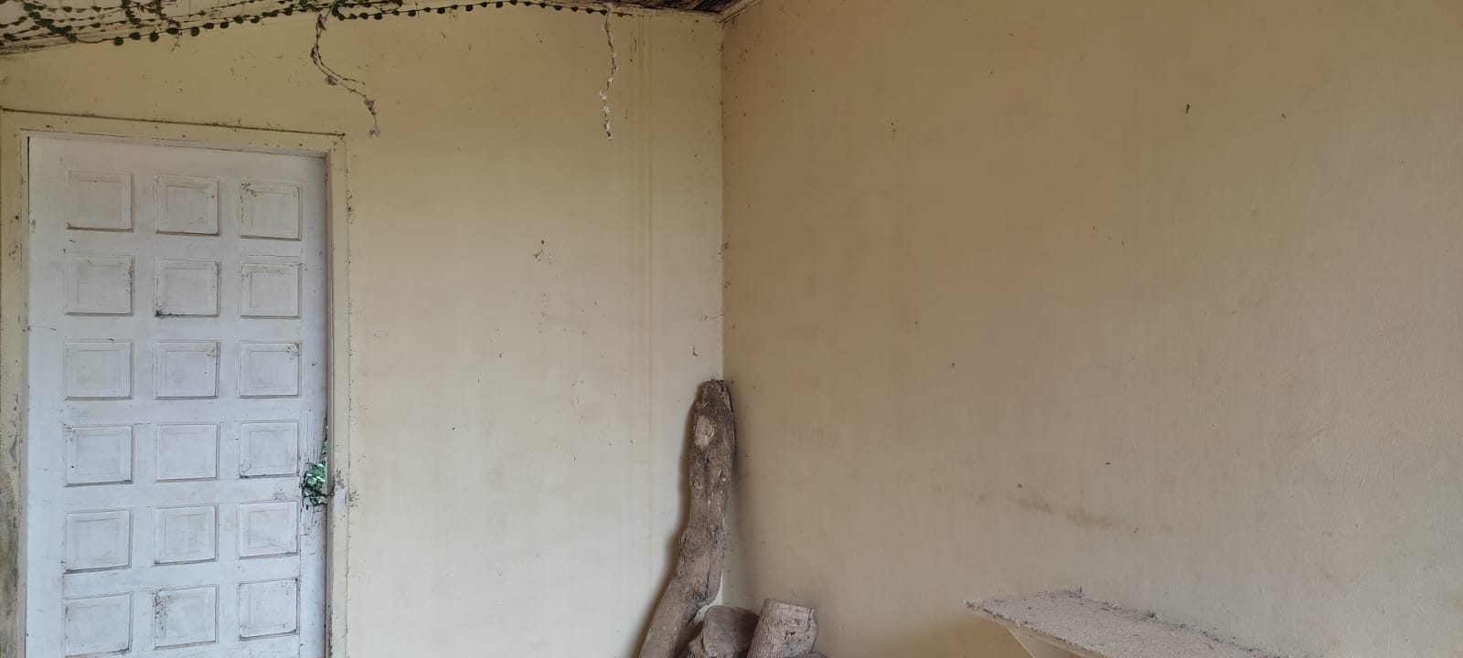 Imagem Casa com 6 Quartos à Venda, 2 m²em Vila Cubas - Tijucas do Sul Imagem Casa com 6 Quartos à Venda, 2 m²em Vila Cubas - Tijucas do Sul