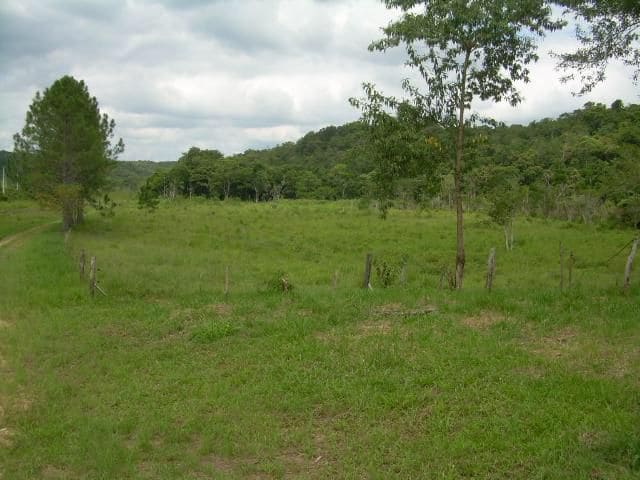 Imagem Terreno à Venda, 194 m²em Parque Santa Rosa - Suzano Imagem Terreno à Venda, 194 m²em Parque Santa Rosa - Suzano
