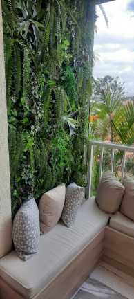 Imagem Apartamento com 2 Quartos à Venda, 56 m² em Vila Moraes - São Paulo