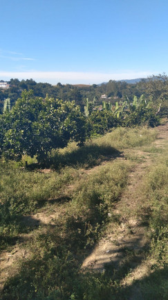 Imagem Terreno à Venda, 14.000 m² em Parque Recanto Mônica - Itaquaquecetuba Imagem Terreno à Venda, 14.000 m² em Parque Recanto Mônica - Itaquaquecetuba