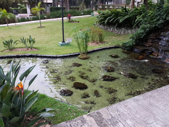Imagem Apartamento com 3 Quartos à Venda, 126 m² em Vila Sônia do Taboão - Taboão da Serra Imagem Apartamento com 3 Quartos à Venda, 126 m² em Vila Sônia do Taboão - Taboão da Serra