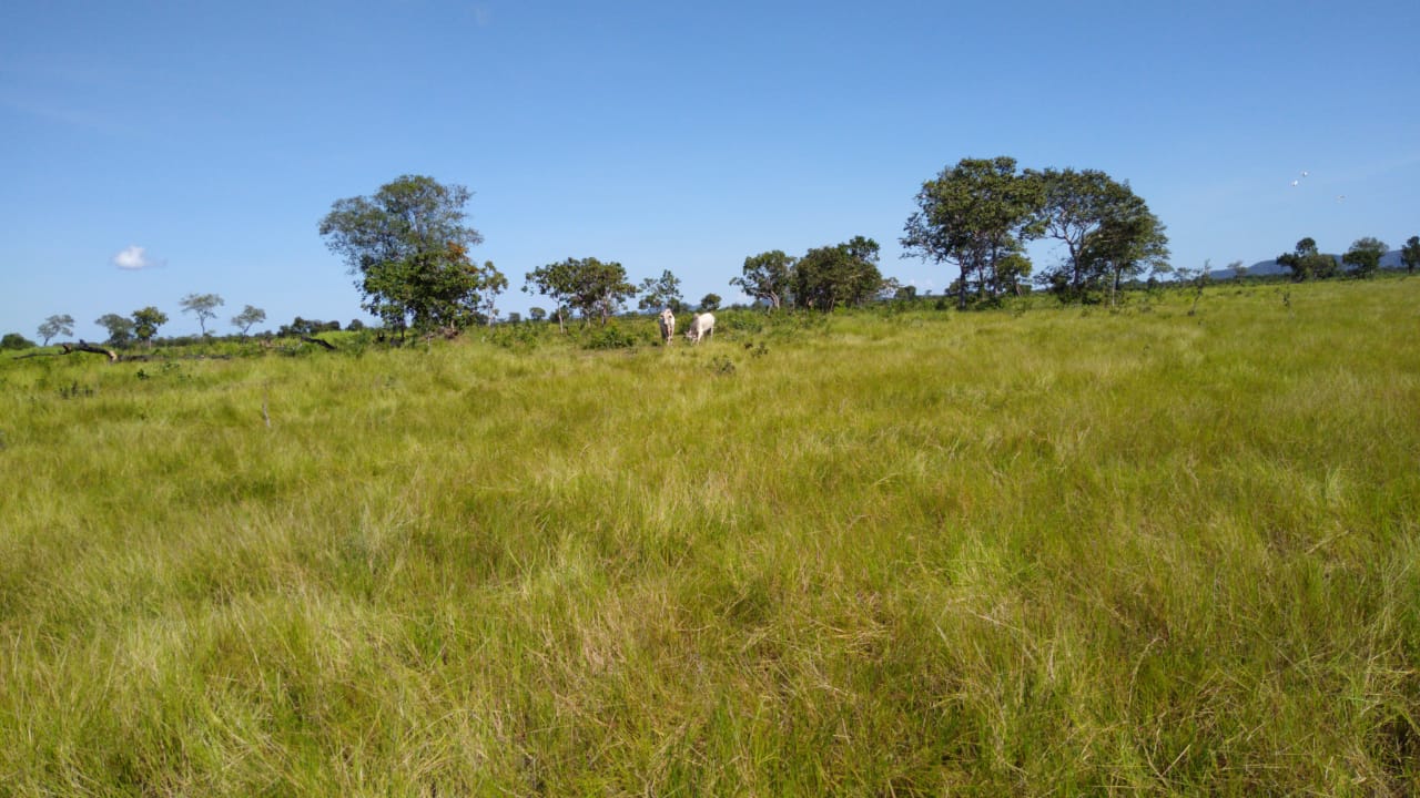 Imagem Fazenda à Venda, 543 Alq GOem Zona Rural - Cocalinho Imagem Fazenda à Venda, 543 Alq GOem Zona Rural - Cocalinho