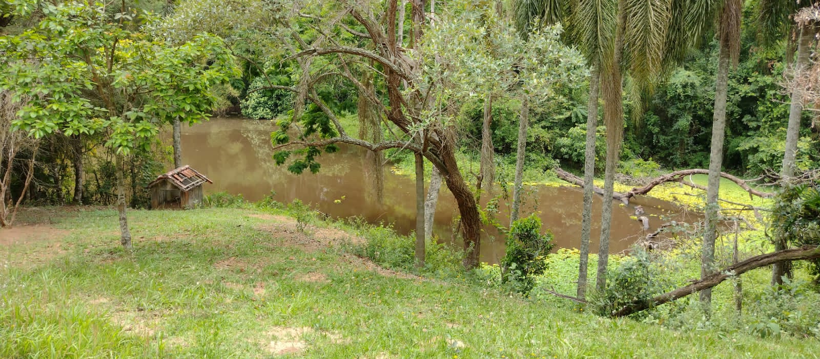 Imagem Chácara com 6 Quartos à Venda, 46 m²em Centro - Campo Limpo Paulista Imagem Chácara com 6 Quartos à Venda, 46 m²em Centro - Campo Limpo Paulista