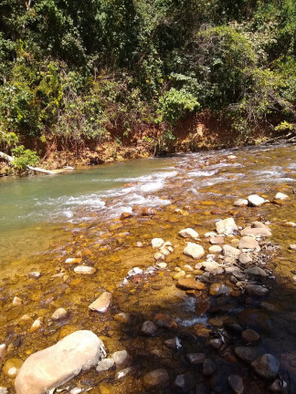 Imagem Fazenda à Venda, em Área Rural - Mimoso de Goiás Imagem Fazenda à Venda, em Área Rural - Mimoso de Goiás
