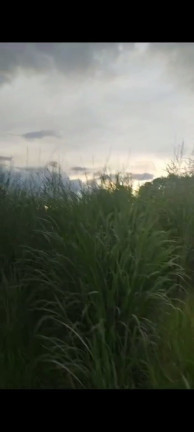 Imagem Terreno à Venda, 20.000 m² em Chácaras Brasil B - Valparaíso de Goiás Imagem Terreno à Venda, 20.000 m² em Chácaras Brasil B - Valparaíso de Goiás