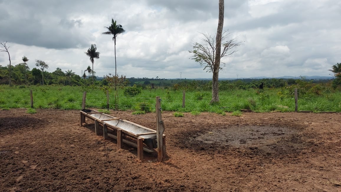 Imagem Fazenda à Venda, 9 Alq MGem Nova Marabá - Marabá Imagem Fazenda à Venda, 9 Alq MGem Nova Marabá - Marabá