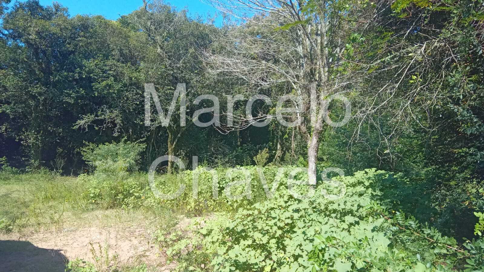 Imagem Terreno à Venda, 900 m² em Centro - Barra do Ribeiro Imagem Terreno à Venda, 900 m² em Centro - Barra do Ribeiro