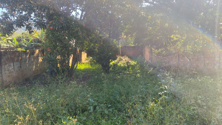 Imagem Terreno à Venda, 533 m² em Wosocris - Criciúma