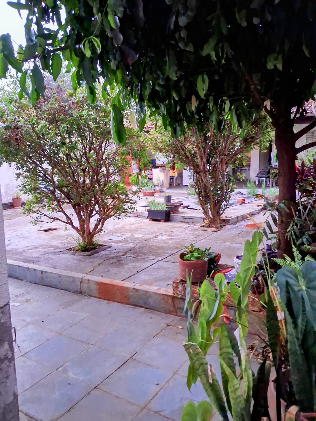 Imagem Casa com 3 Quartos à Venda, 240 m²em Custódio Pereira - Uberlândia Imagem Casa com 3 Quartos à Venda, 240 m²em Custódio Pereira - Uberlândia