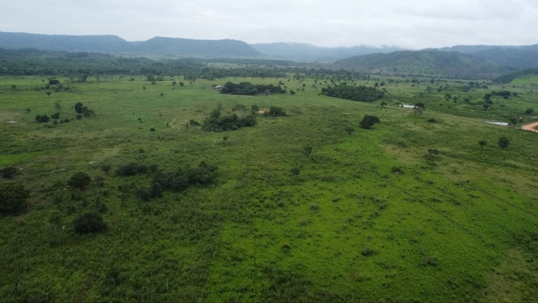 Imagem Fazenda à Venda, 90 m²em Centro - São Félix do Xingu