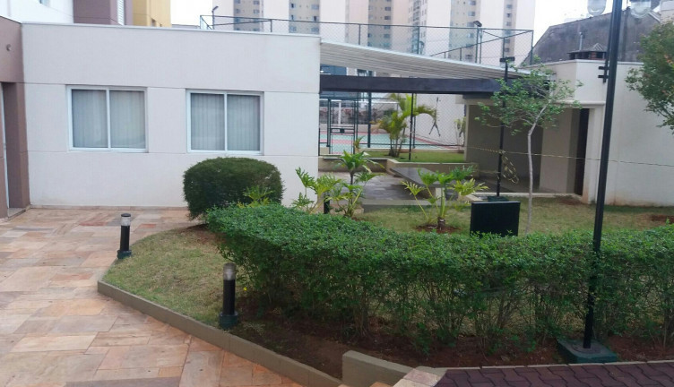 Imagem Apartamento com 2 Quartos à Venda, 42 m² em Maranhão - São Paulo Imagem Apartamento com 2 Quartos à Venda, 42 m² em Maranhão - São Paulo