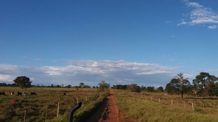 Imagem Fazenda à Venda, 1.864 m² em área Rural De Três Lagoas - Três Lagoas
