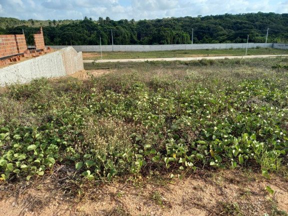 Imagem Terreno em Condomínio à Venda, 390 m² em Parque das Nações - Parnamirim