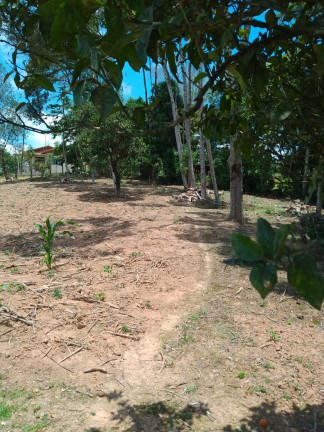 Imagem Chácara com 3 Quartos à Venda, 5.550 m² em AREIA BRANCA  - Agudos do Sul