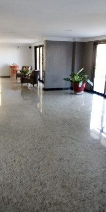 Imagem Apartamento com 2 Quartos à Venda, 56 m² em Vila Antonina - São Paulo