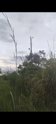 Imagem Terreno à Venda, 20.000 m² em Chácaras Brasil B - Valparaíso de Goiás Imagem Terreno à Venda, 20.000 m² em Chácaras Brasil B - Valparaíso de Goiás