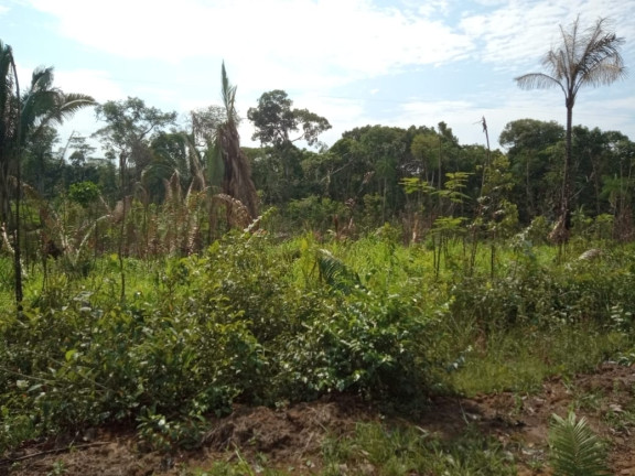 Imagem Terreno à Venda, 2.000 m² em Zona Rural - Humaitá