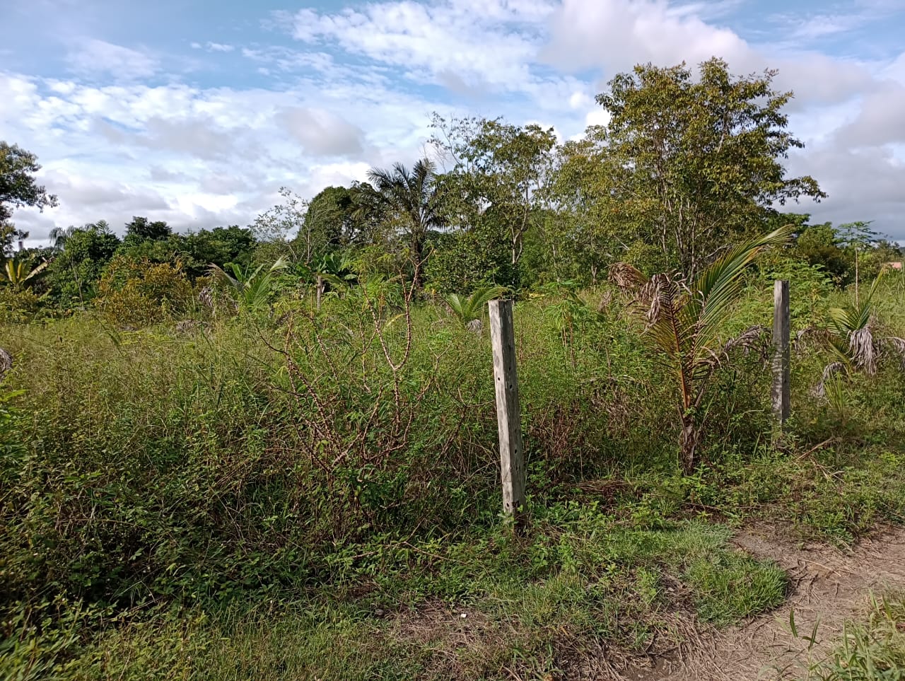 Imagem Terreno à Venda, 2 m²em Centro - Rio Preto da Eva Imagem Terreno à Venda, 2 m²em Centro - Rio Preto da Eva