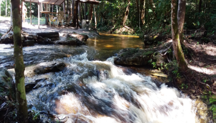 Imagem Chácara com 4 Quartos à Venda,  em Ramal urubui - Presidente Figueiredo