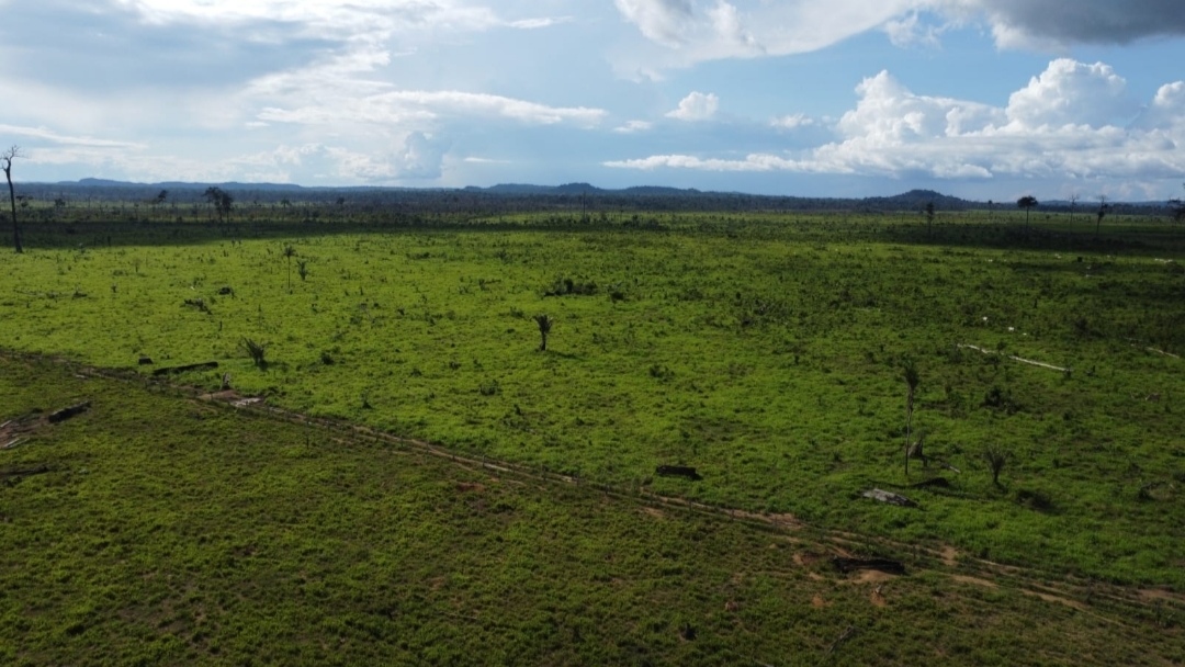Imagem Fazenda à Venda, 430 m² em Centro - São Félix do Xingu Imagem Fazenda à Venda, 430 m² em Centro - São Félix do Xingu