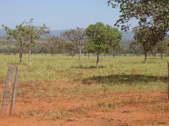 Imagem Fazenda à Venda, em zona rural - Engenheiro Navarro Imagem Fazenda à Venda, em zona rural - Engenheiro Navarro