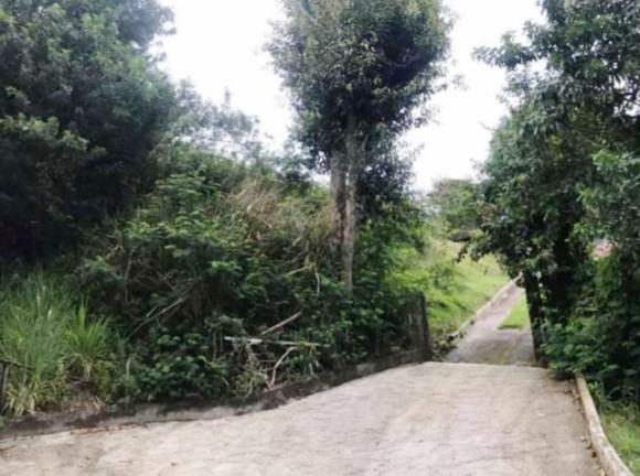 Imagem Terreno à Venda, 1.896 m² em Pontal da Cruz - São Sebastião Imagem Terreno à Venda, 1.896 m² em Pontal da Cruz - São Sebastião