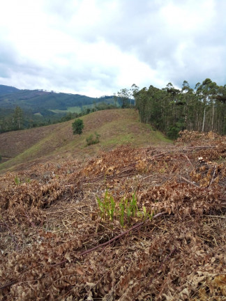 Imagem Terreno à Venda, 1.000 m² em Centro - Atibaia Imagem Terreno à Venda, 1.000 m² em Centro - Atibaia